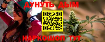 индика Тула