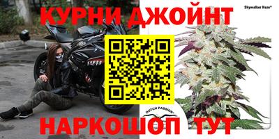индика Тула